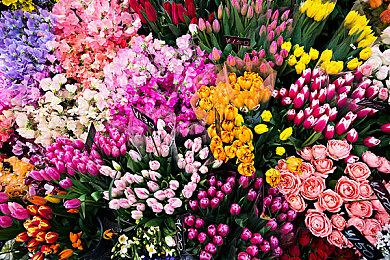 Capcom PPT泄露：《生化危机9》《怪物猎人：荒野》发售日曝光